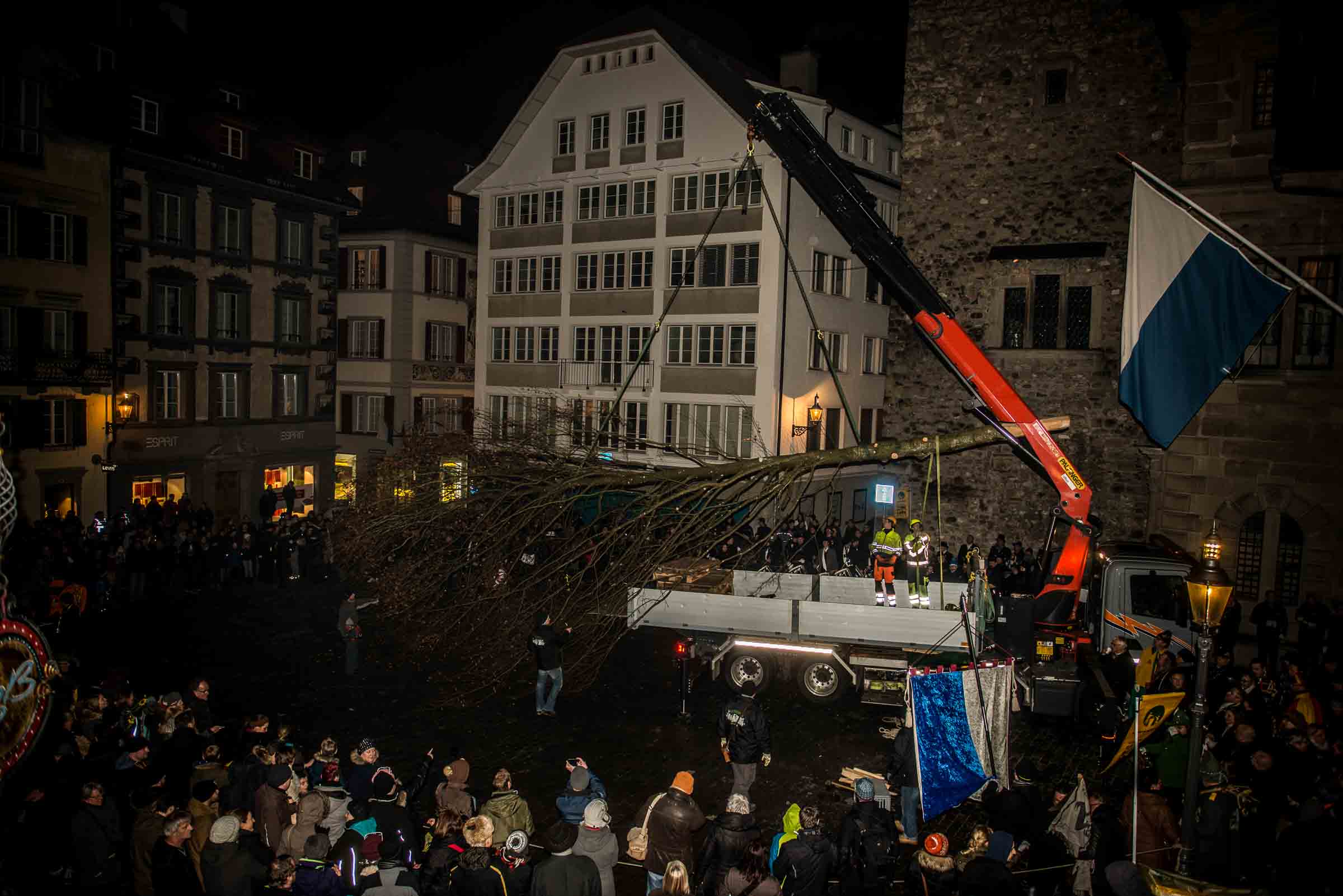 Guuggerbaum stellen vor dem Schmudo 